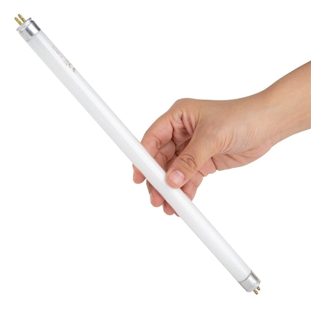 Special Offer Nisbets Essentials Fly Killer Replacement Fluorescent Bulbs 8W (Pack of 2)