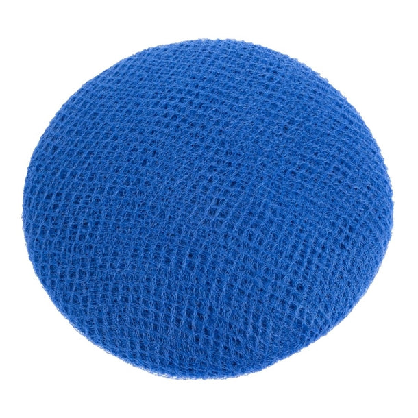 Lion Haircare Hair Net Light Blue (Pack of 50)