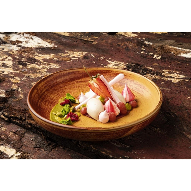 Olympia Canvas Coupe Bowl Sienna Rust 230mm (Pack of 6)