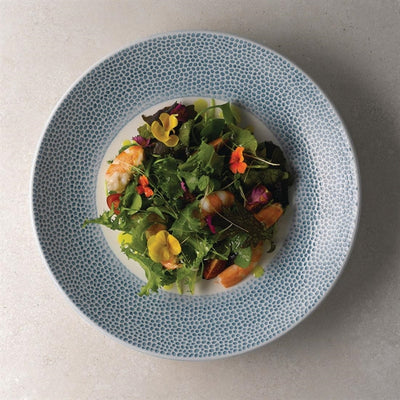 Churchill Isla Deep Coupe Plates Ocean Blue 281mm (Pack of 12)