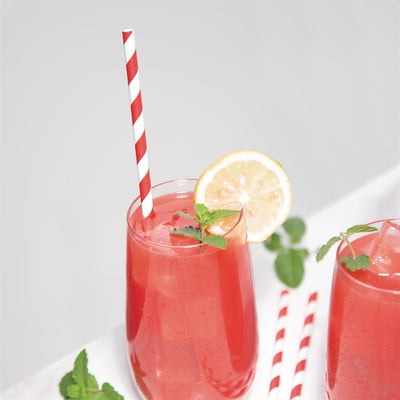 Fiesta Green Individually Wrapped Compostable Paper Straws Red Stripes (Pack of 250)