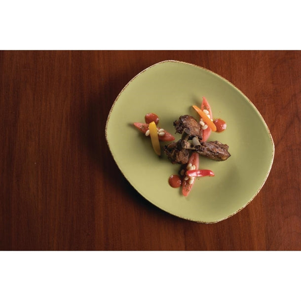 Steelite Terramesa Olive Spice Plates 202mm (Pack of 24)