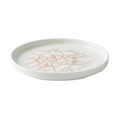 Light Gray Churchill Studio Prints Kintsugi Walled Plates Coral 220mm (Pack of 6)