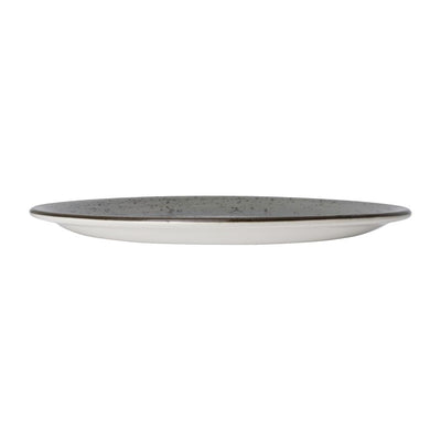 Dark Gray Steelite Smoke Coupe Plates 255mm (Pack of 12)