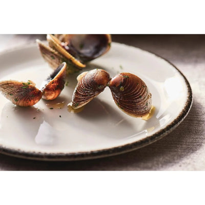 Light Gray Steelite Charcoal Dapple Coupe Plates 202mm (Pack of 24)