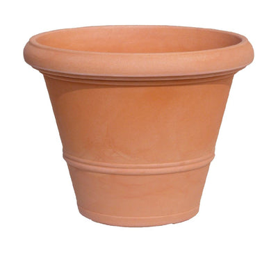 cc539.jpg