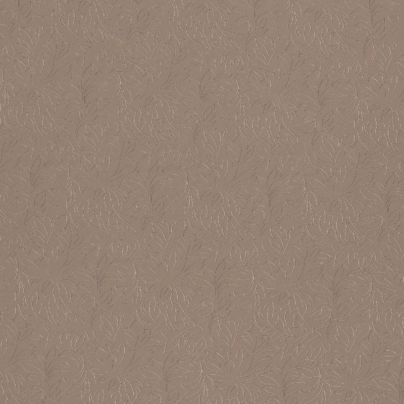 cg881.jpg